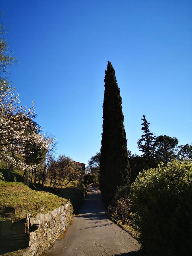 La Vivagna - Casa Vista Mare Tra Gli Ulivi Villa Leivi Luaran gambar